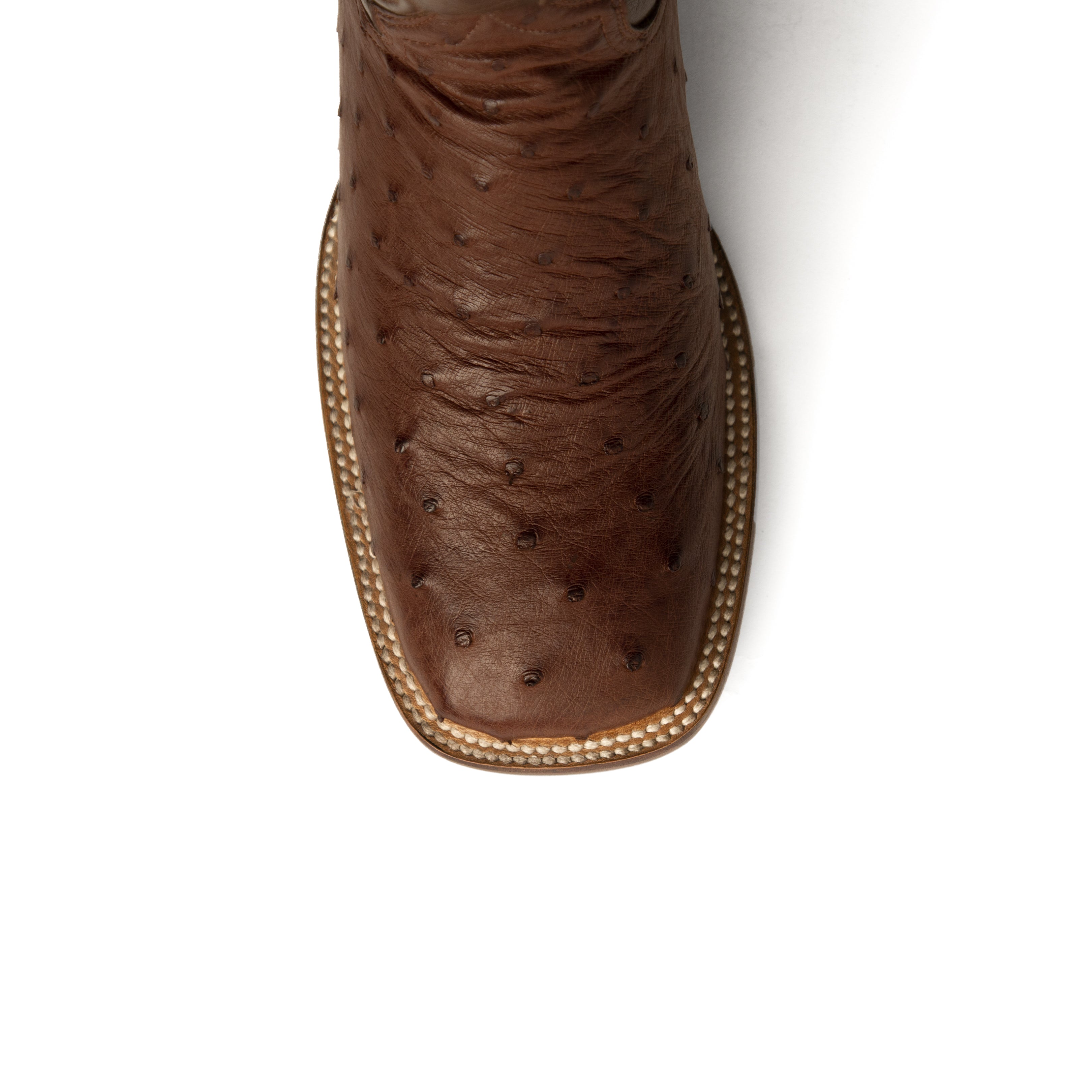 Colt - Men's Full Quill Ostrich