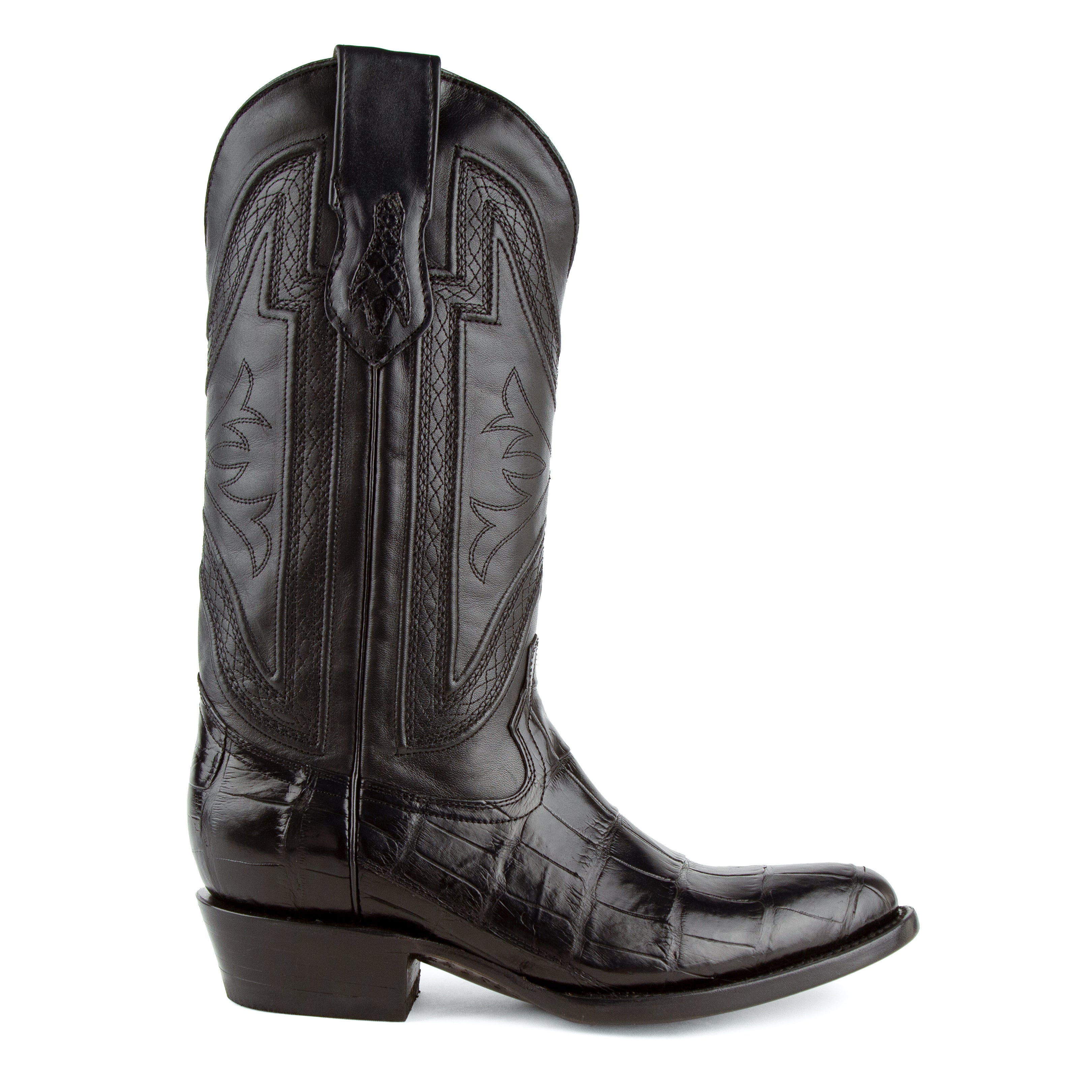 Stallion - American Alligator
