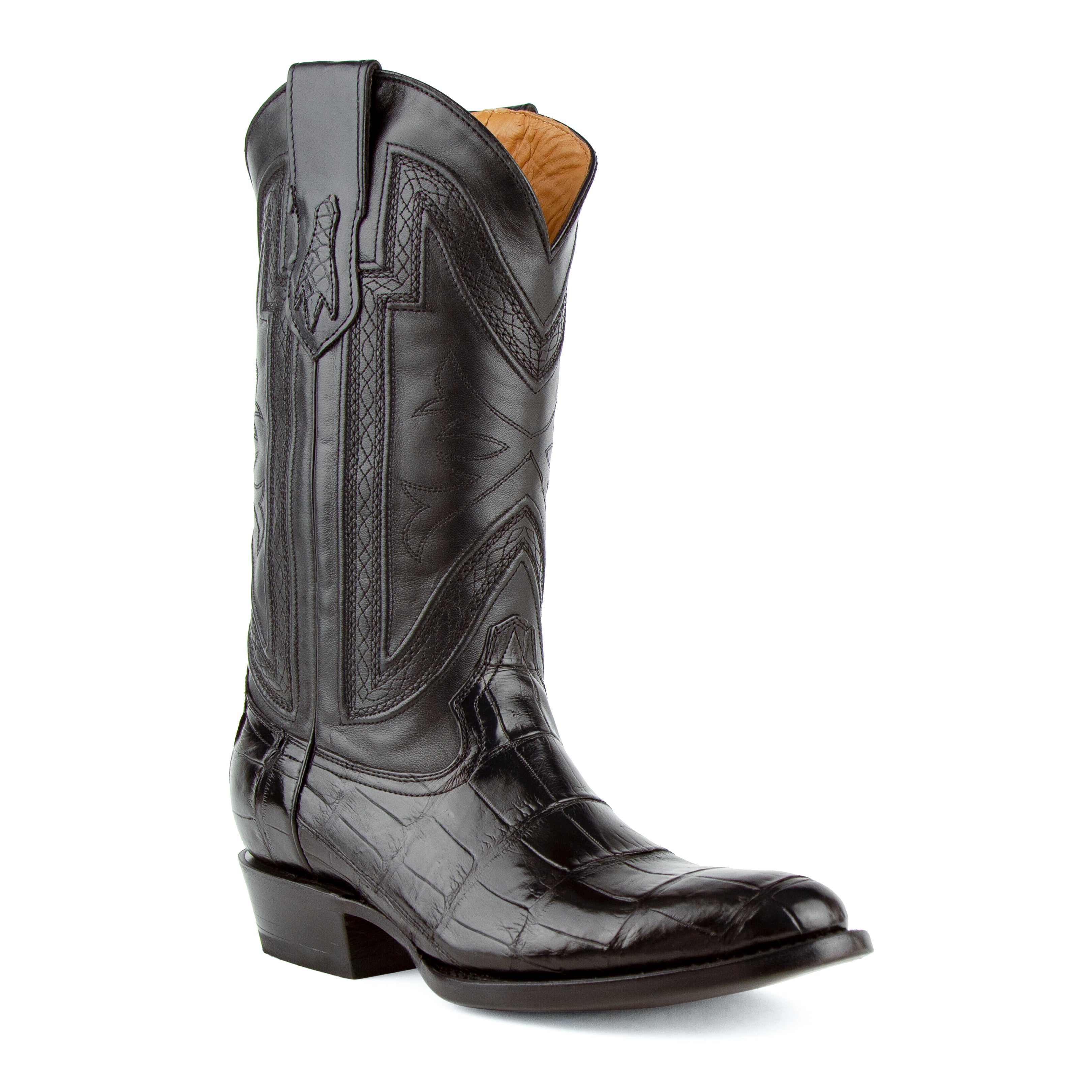 Stallion - American Alligator