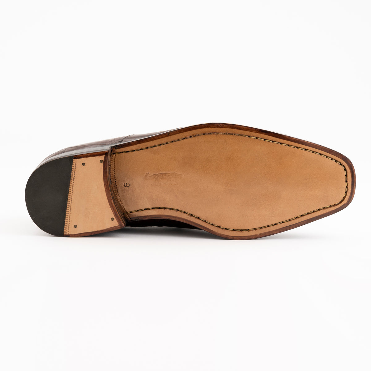 Alligator 3877 – Ferrini USA Inc