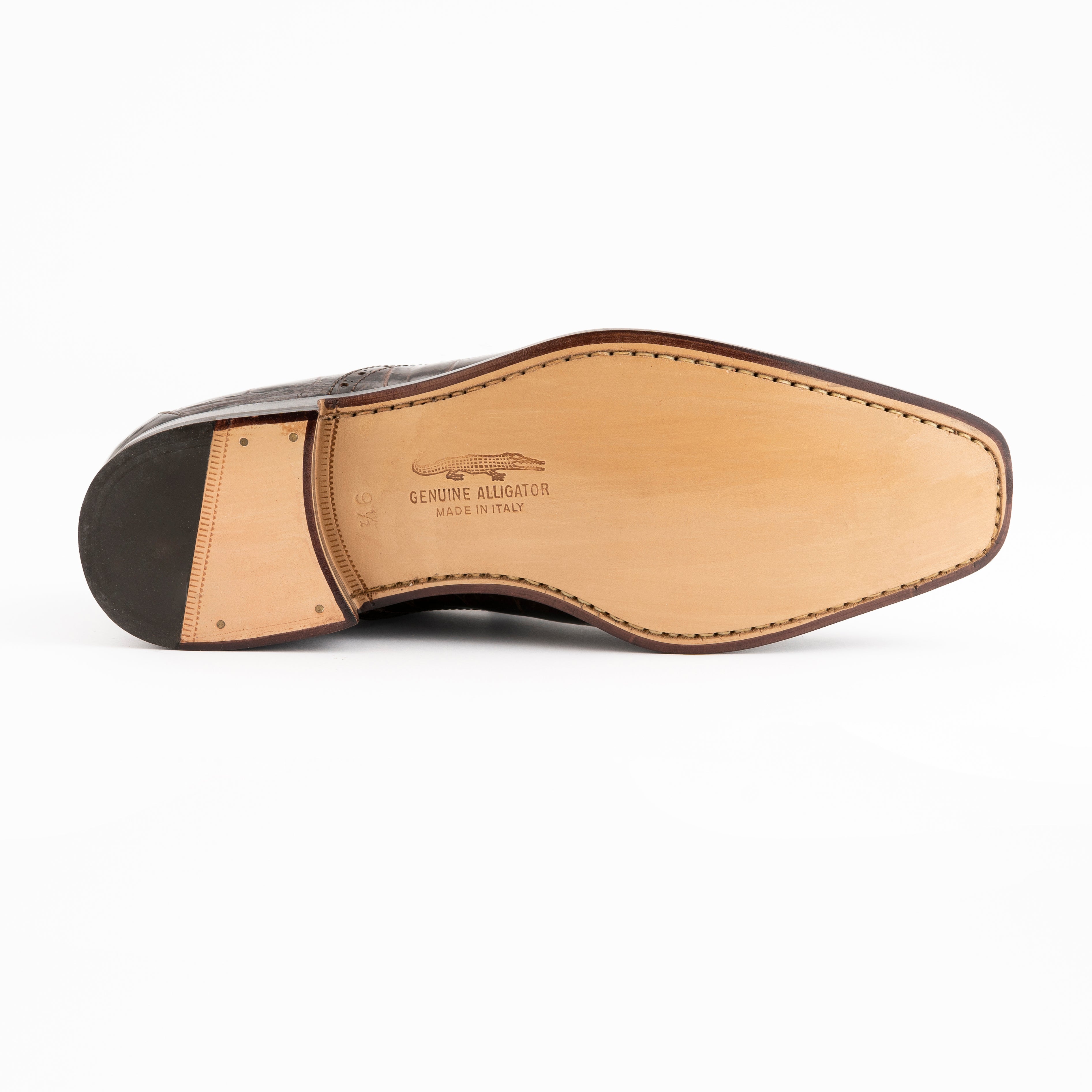 Belly Alligator-3922