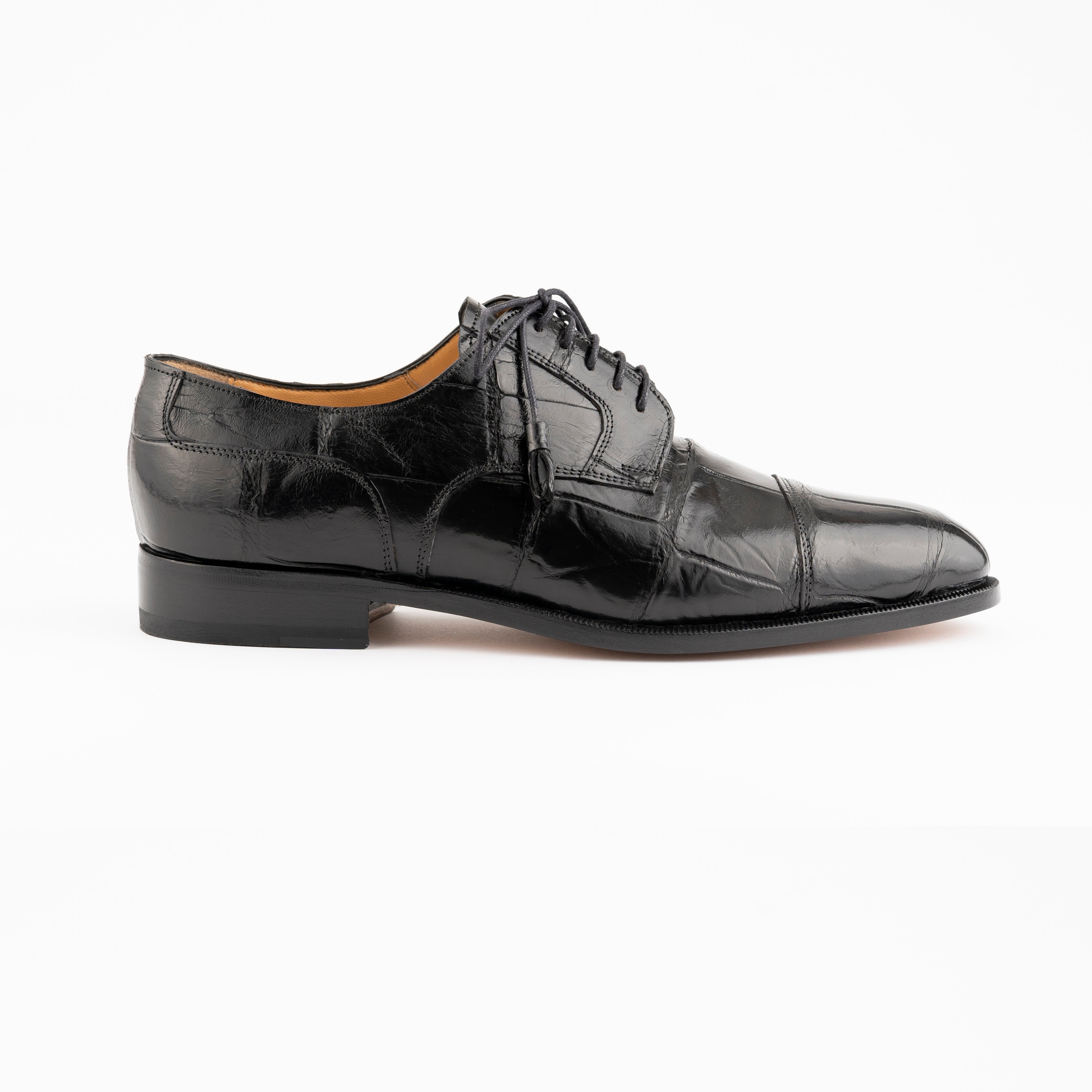 Belly Alligator 4288