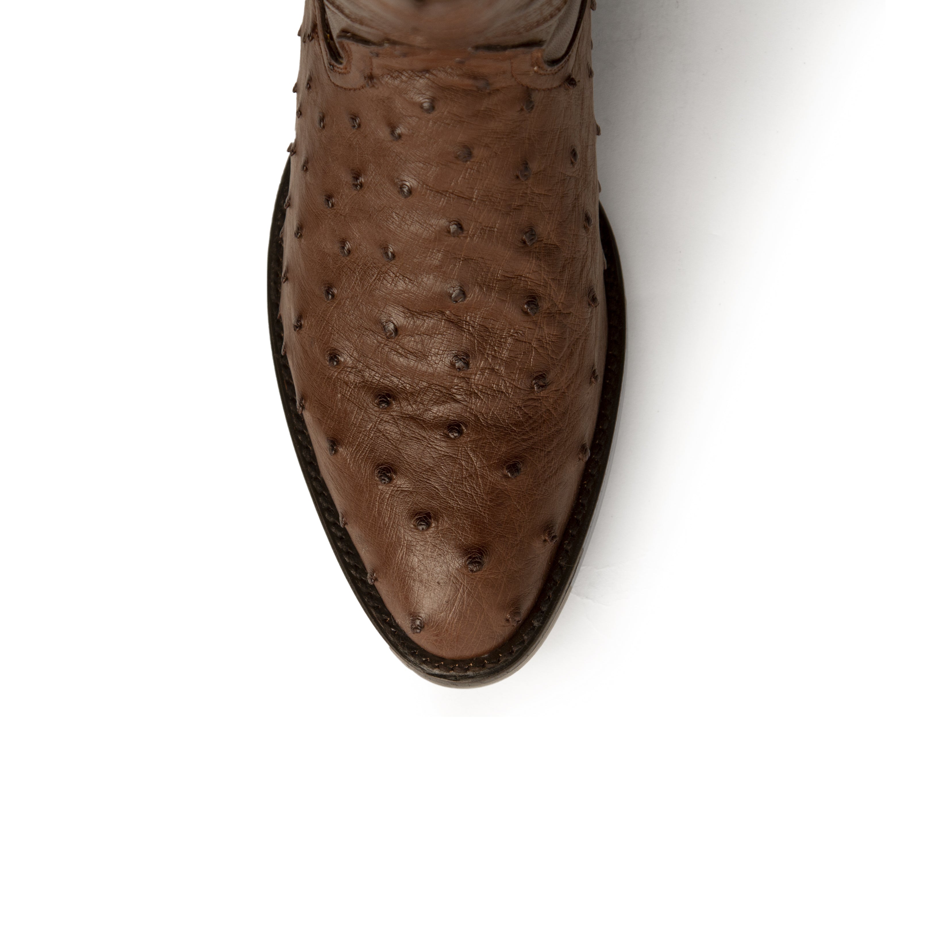 Colt - Men's Full Quill Ostrich