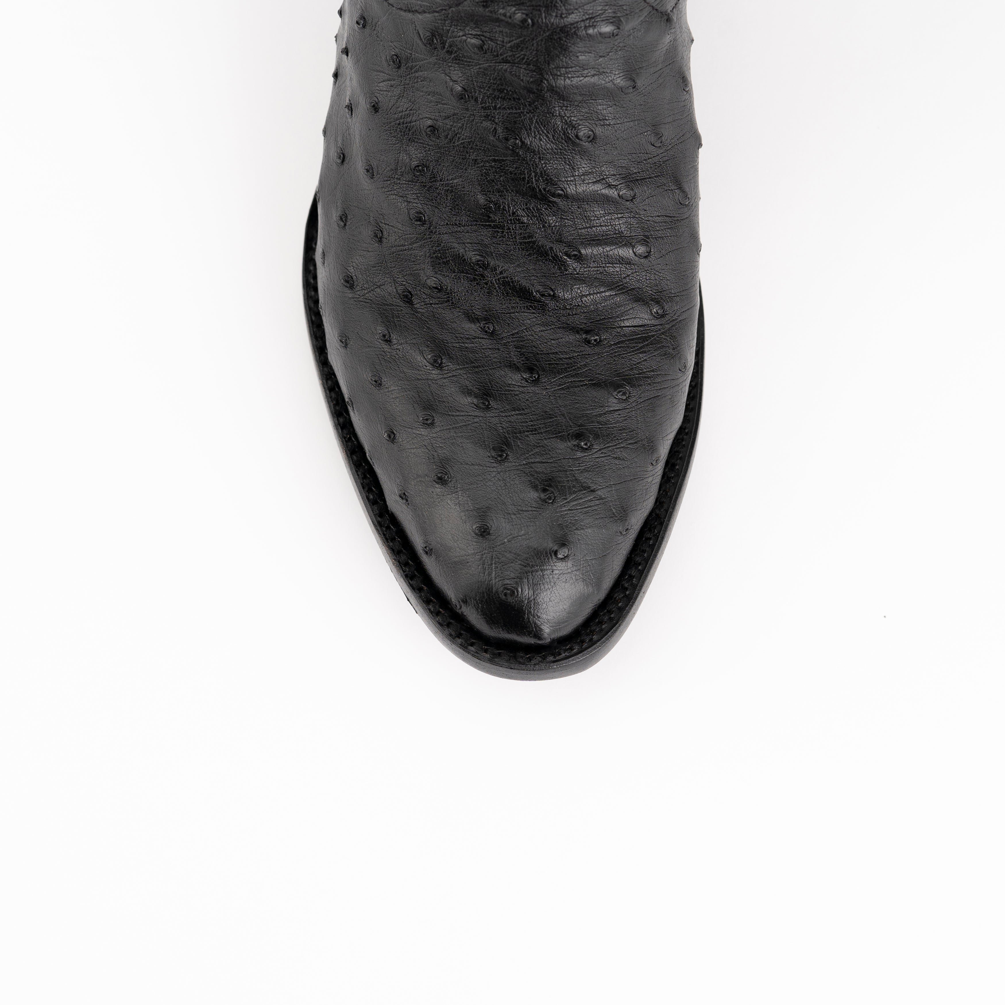 Colt - Men's Full Quill Ostrich
