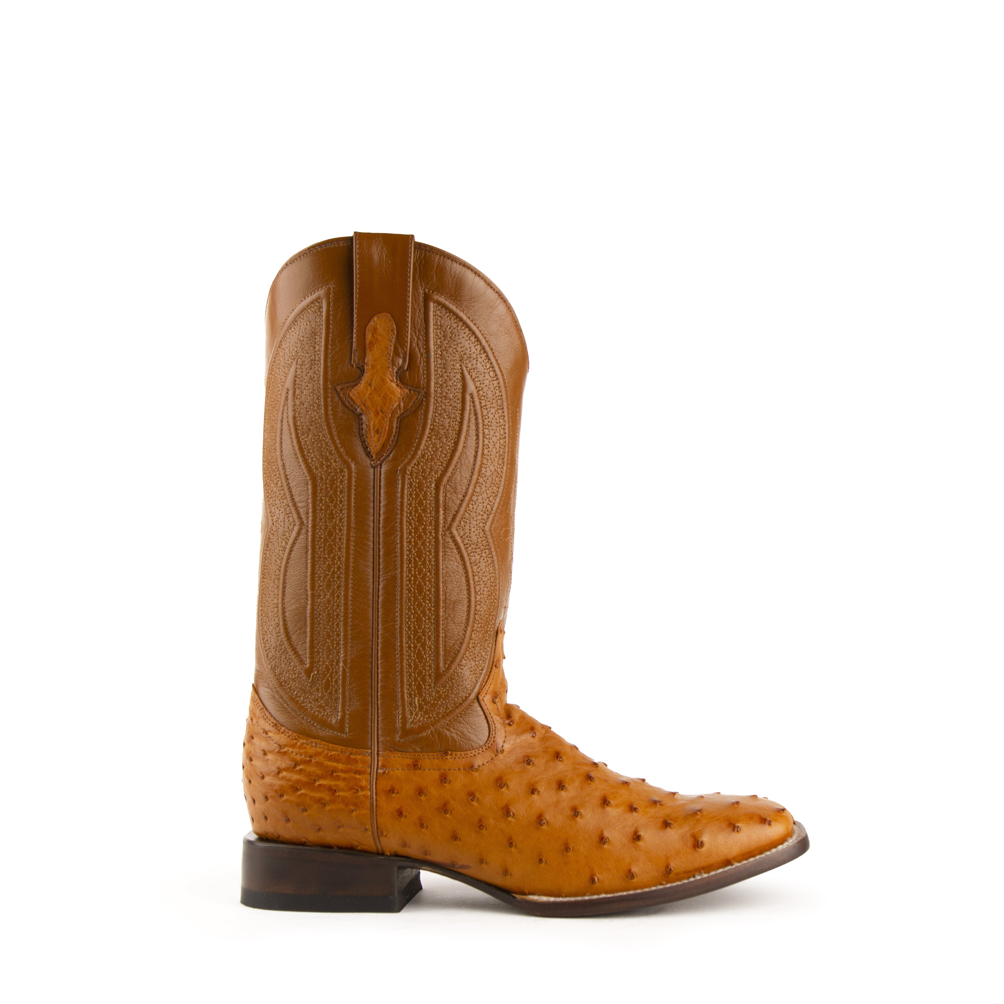 Colt - Men's Full Quill Ostrich
