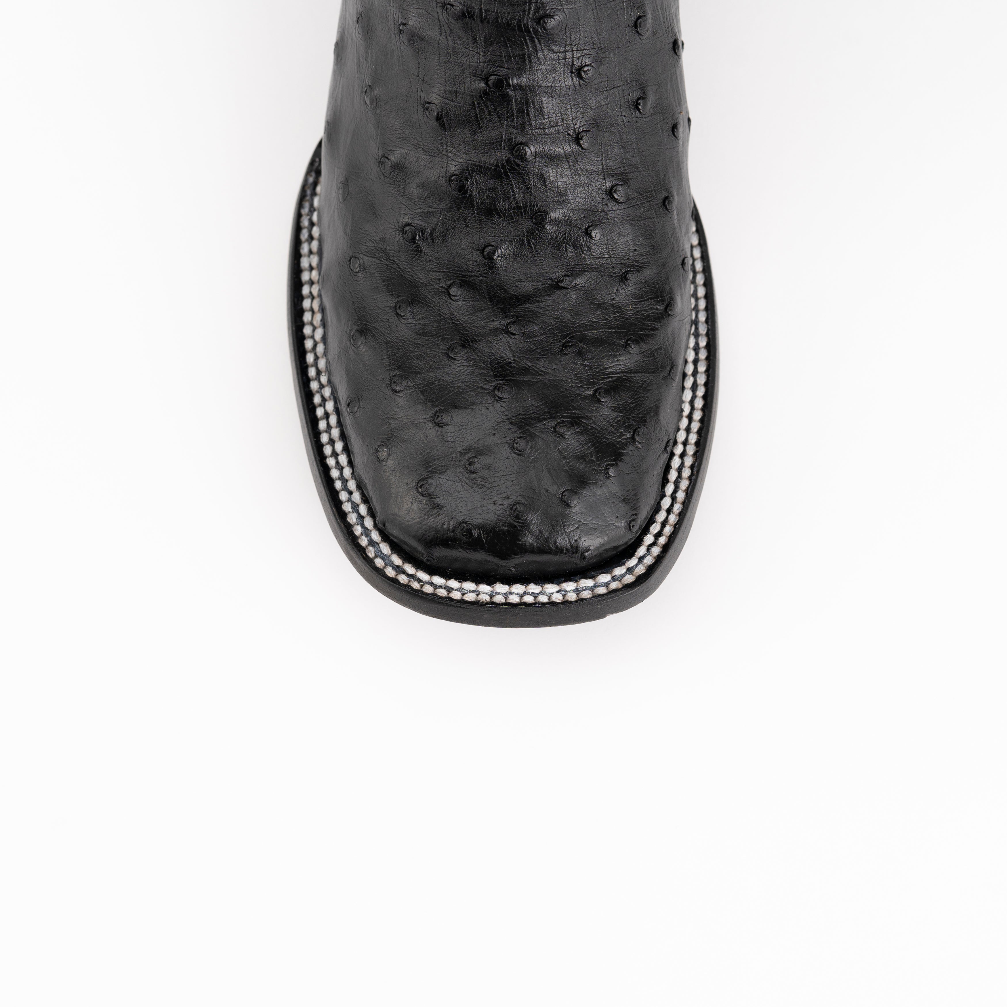 Colt - Men's Full Quill Ostrich