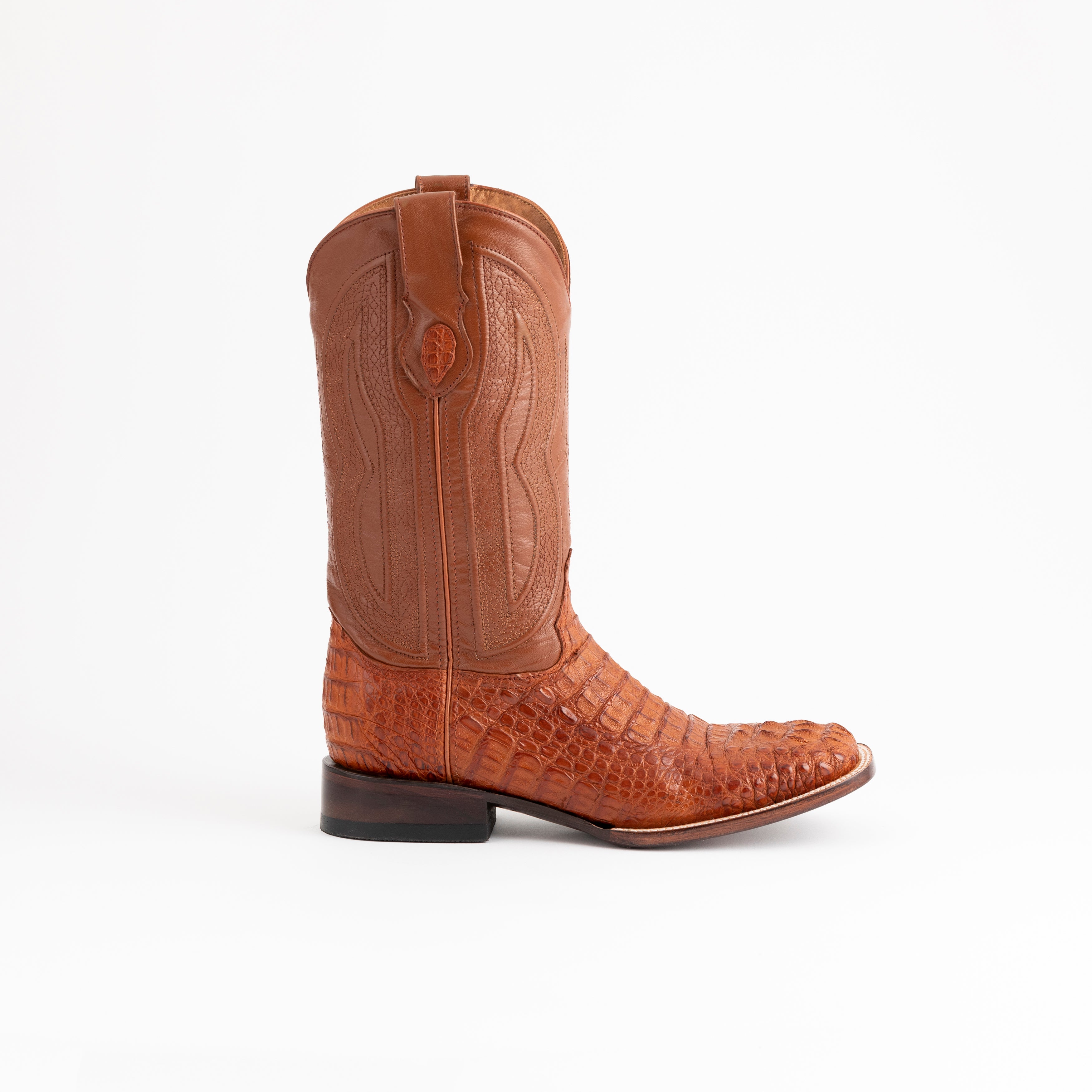 Hornback Caiman Dakota