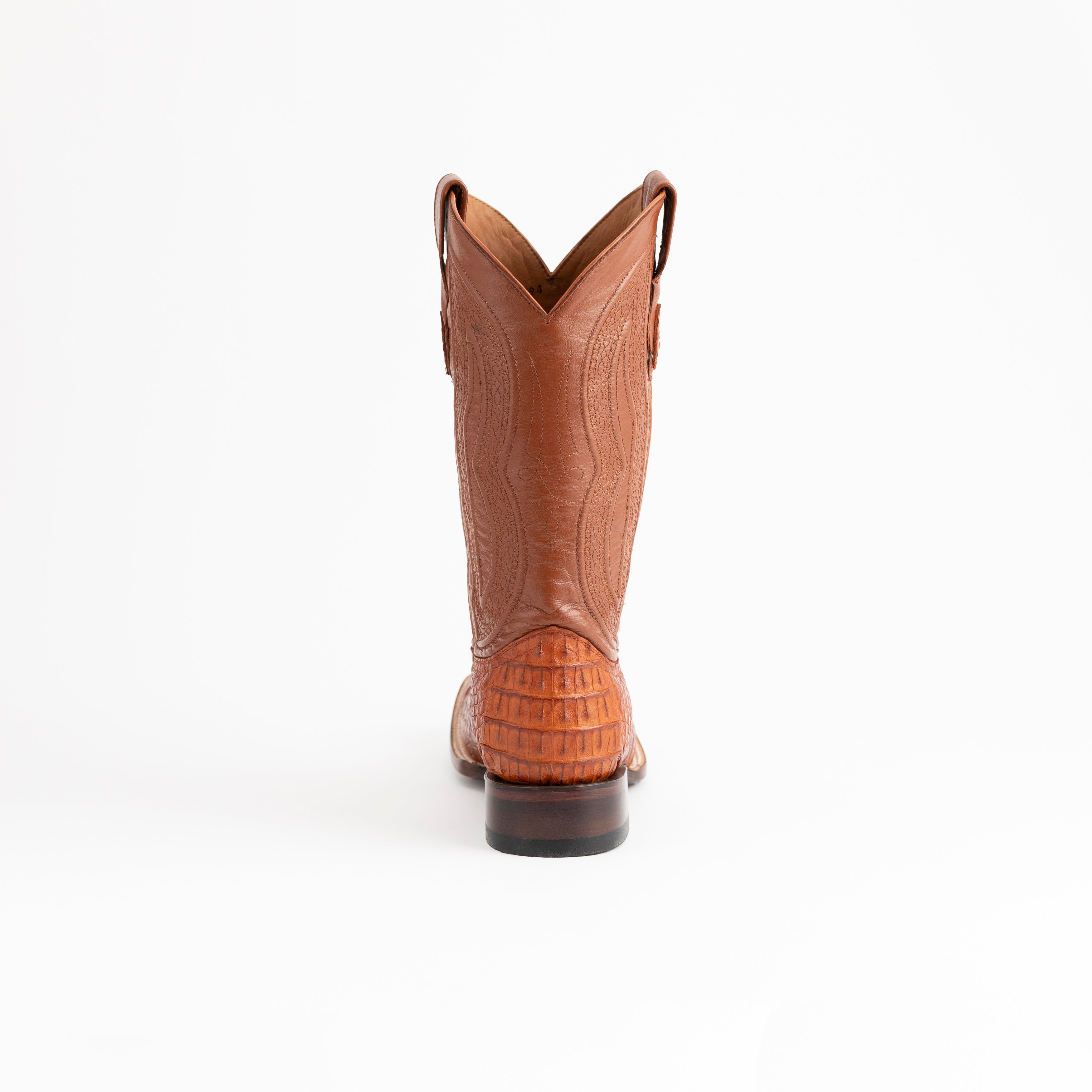 Hornback Caiman Dakota