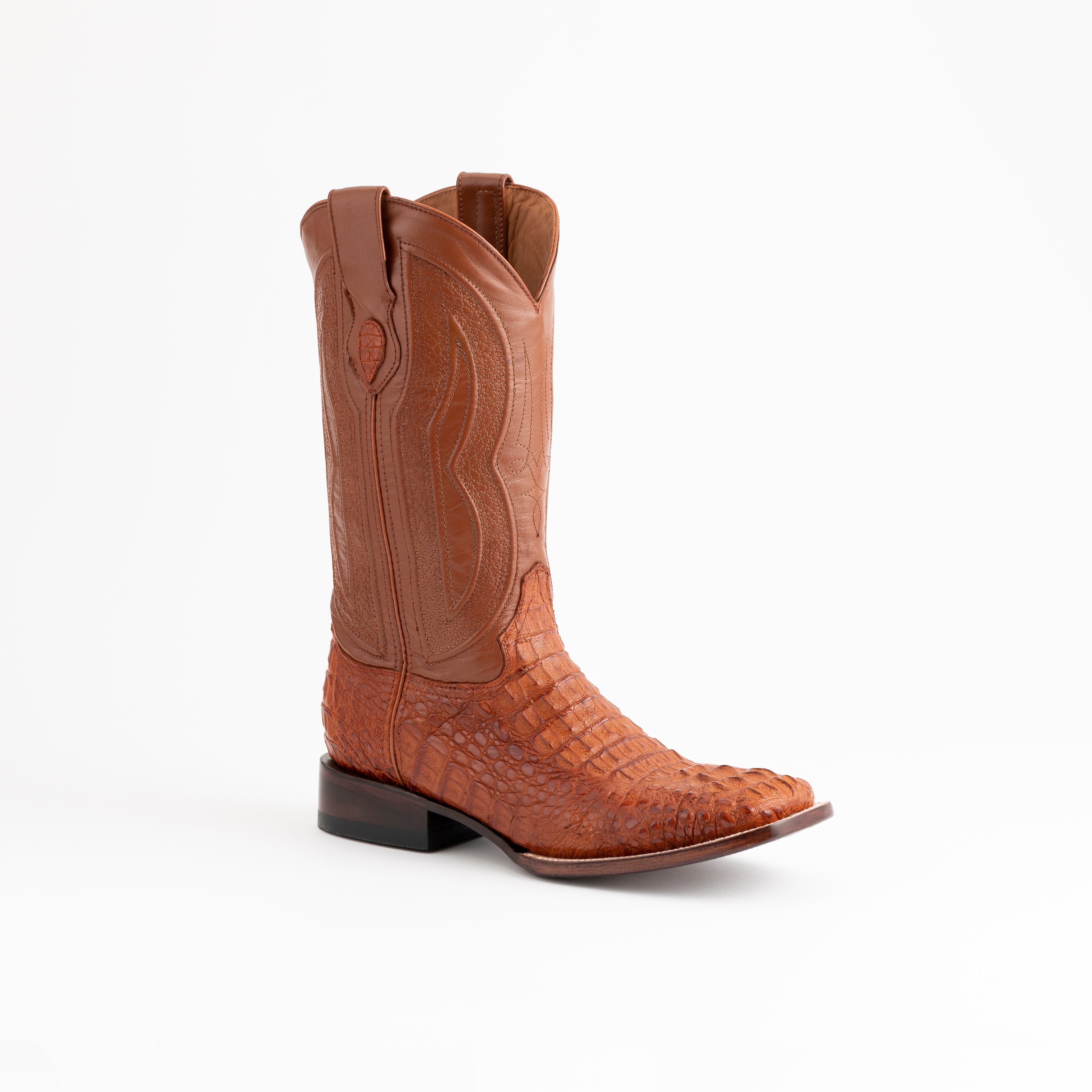 Hornback Caiman Dakota