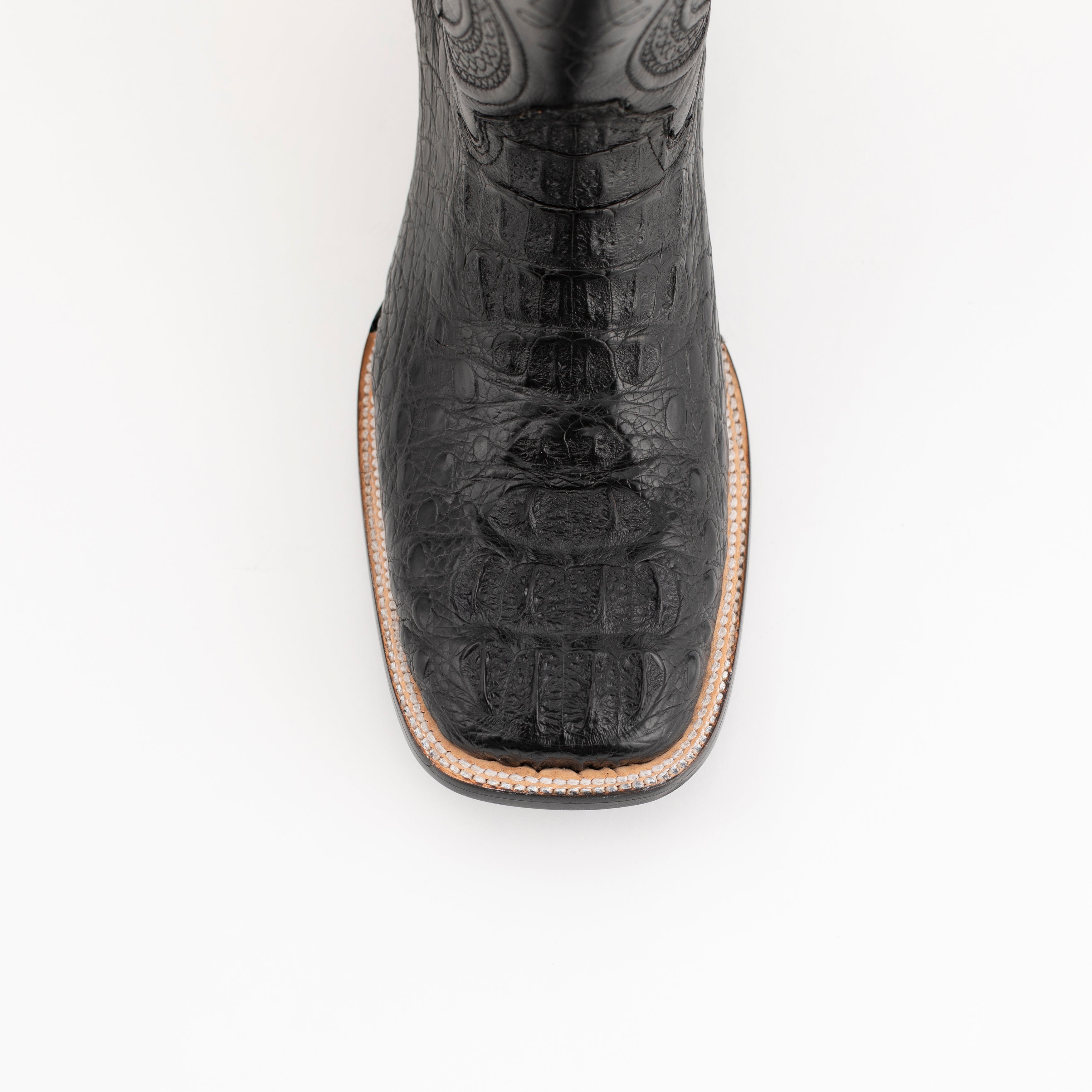 Hornback Caiman Dakota