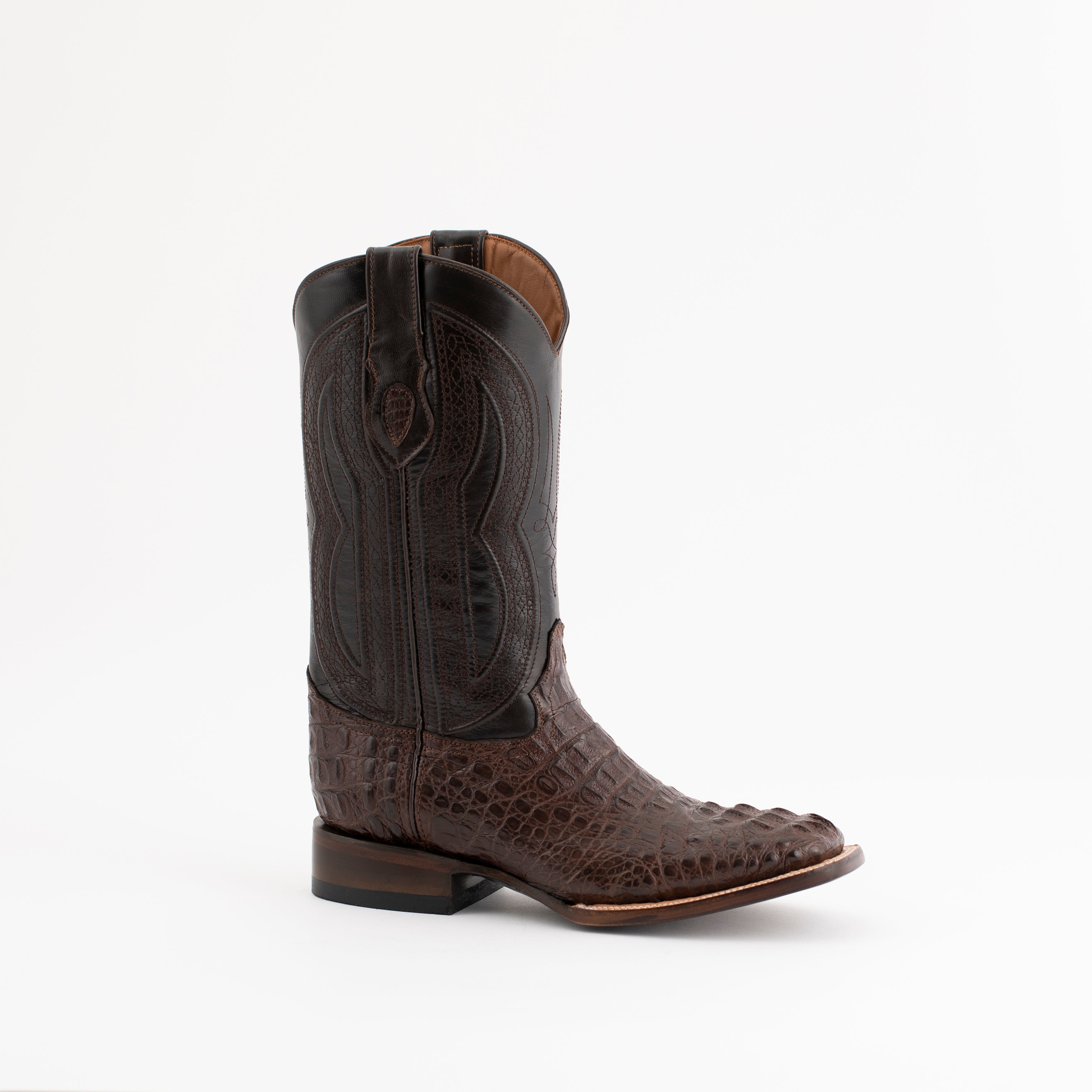 Hornback Caiman Dakota