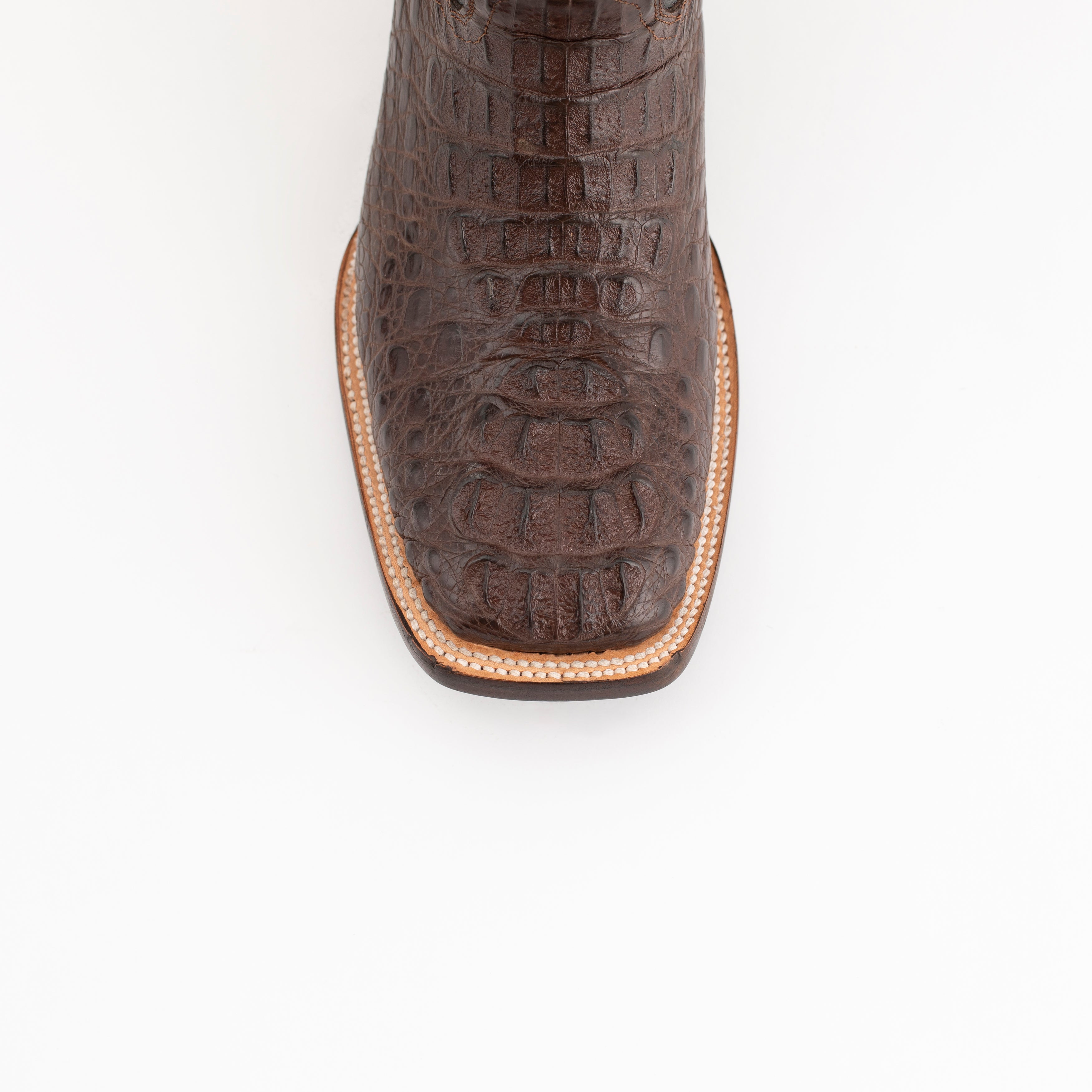 Hornback Caiman Dakota