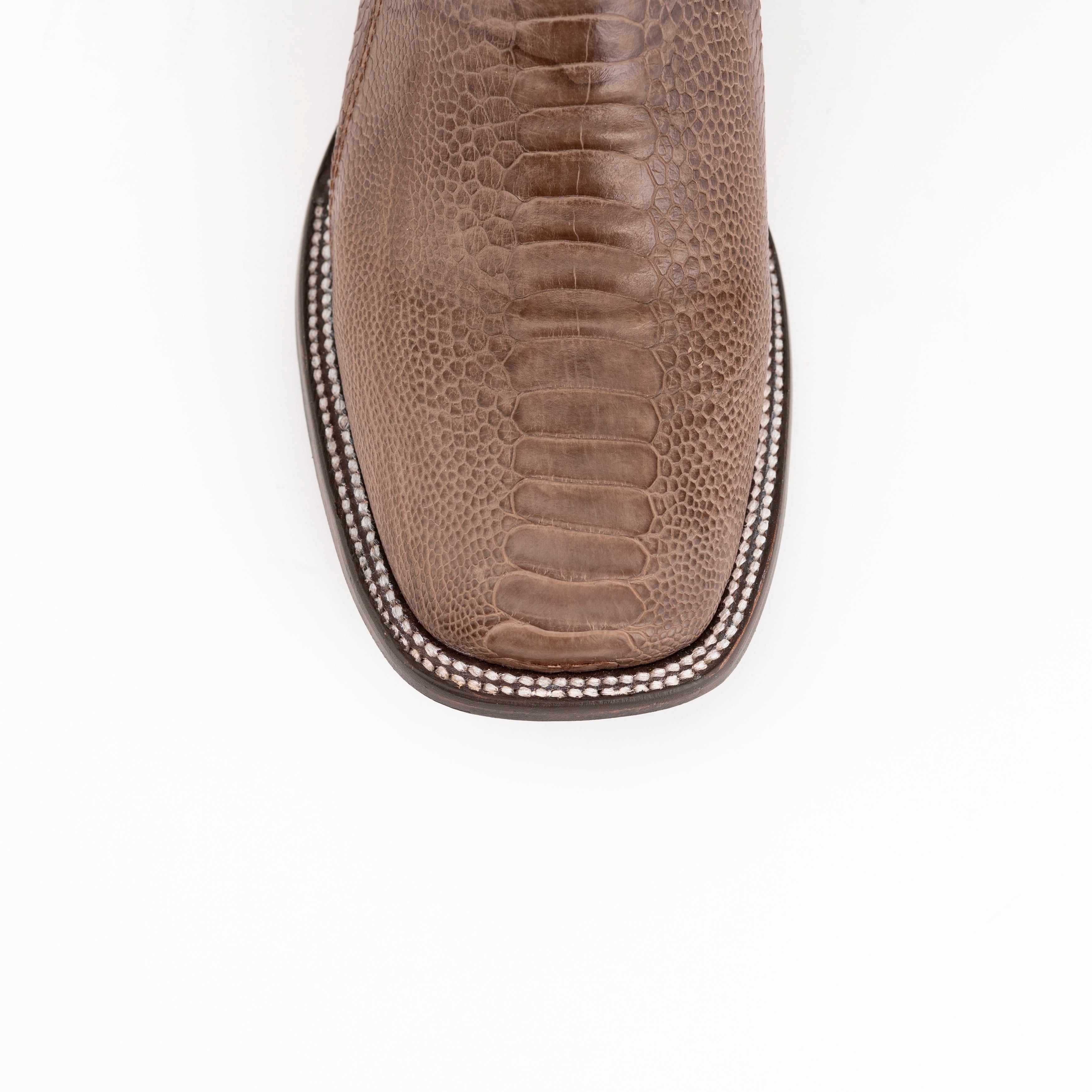 Nash - Ostrich Leg