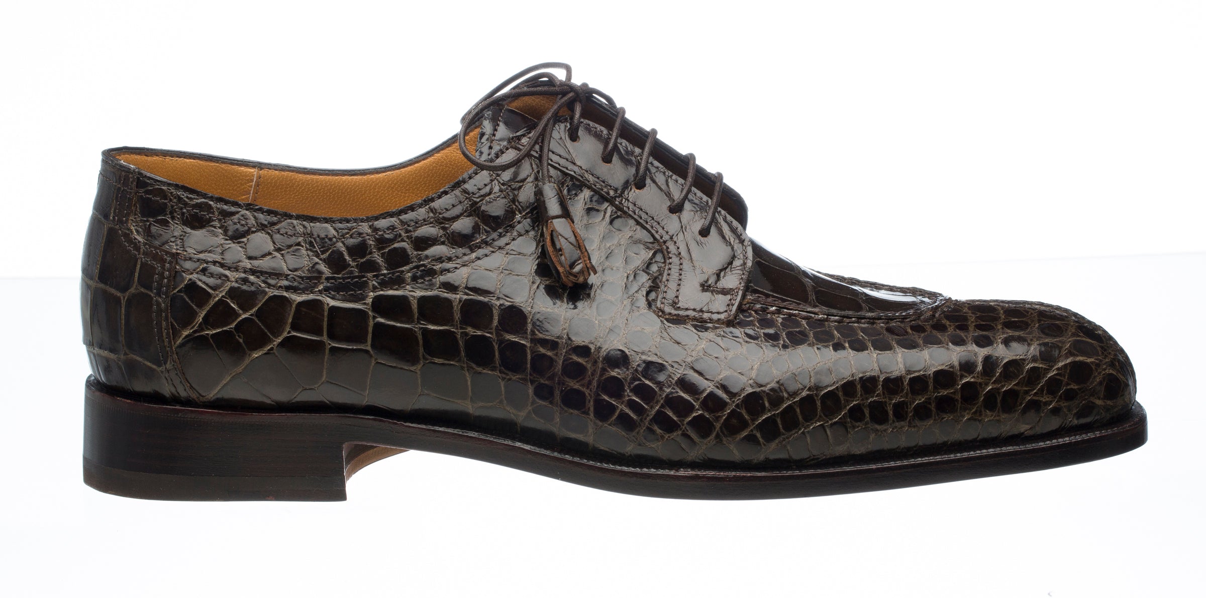 Belly Alligator 3520