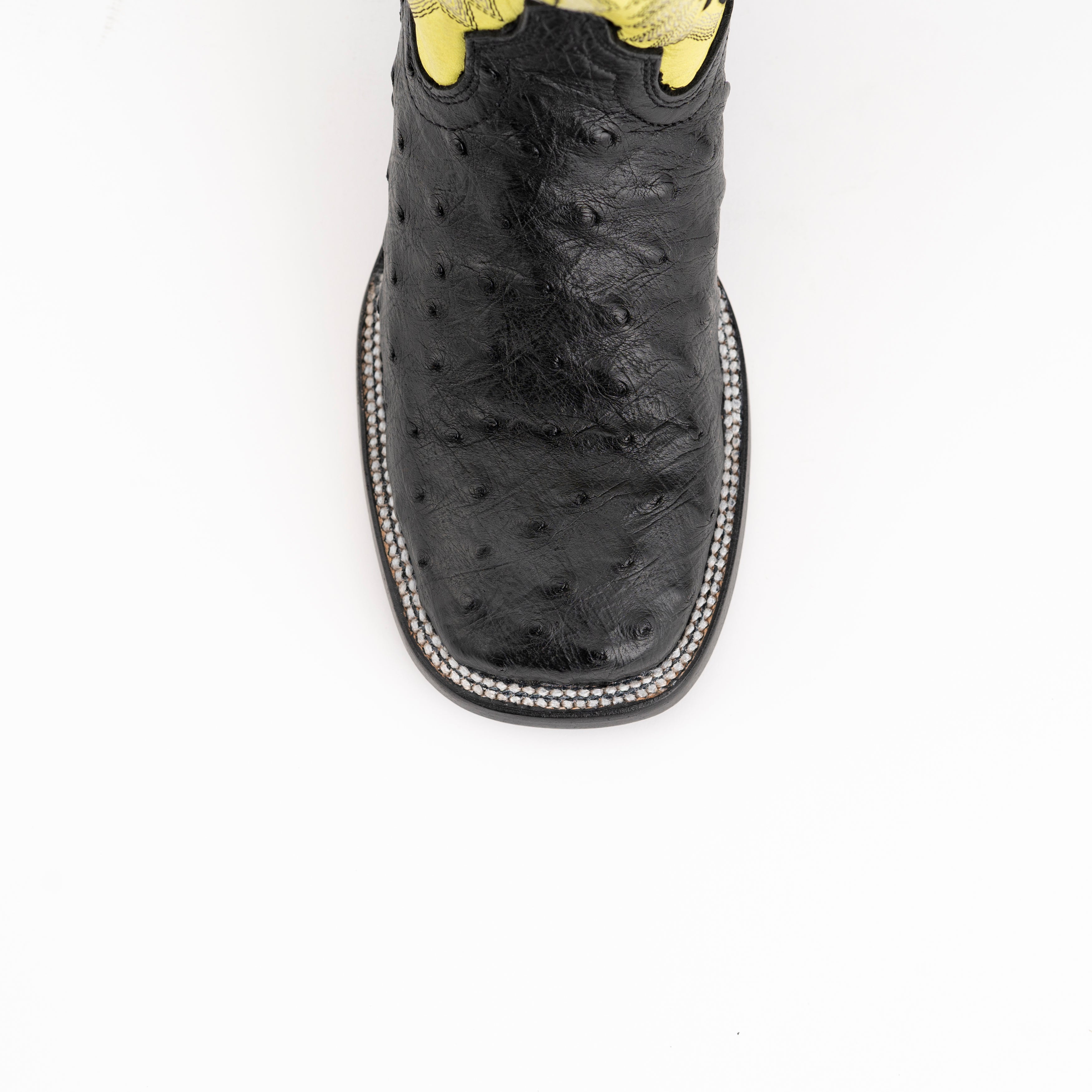Ladies Colt - Full Quill Ostrich