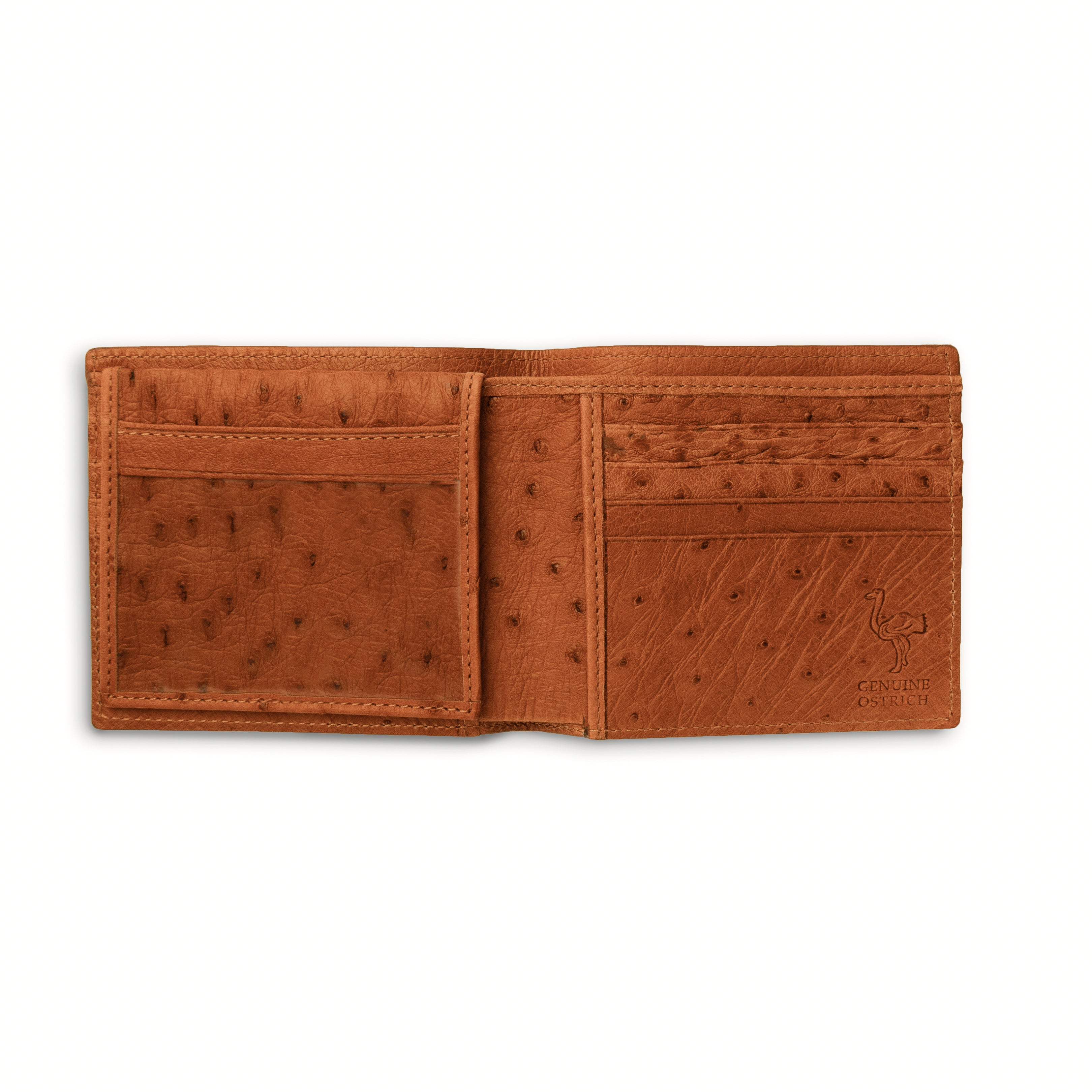 Full Quill Ostrich Billfold