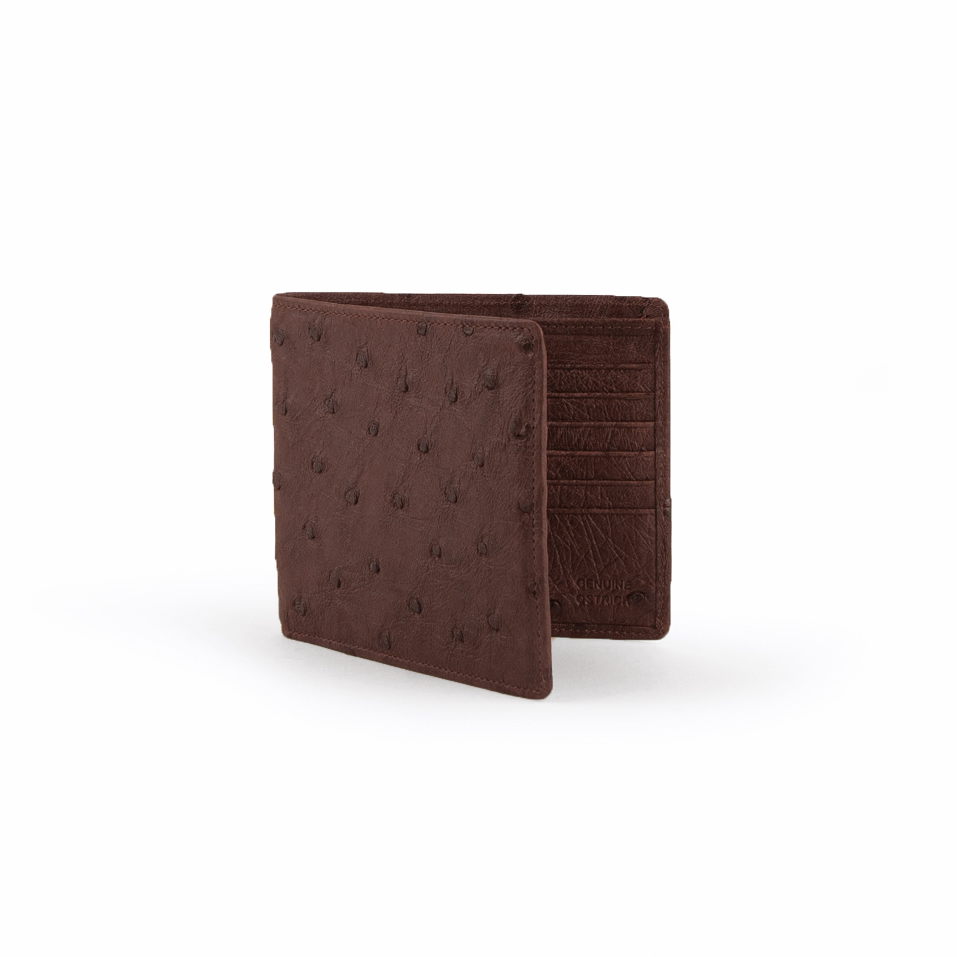 Full Quill Ostrich Hipster
