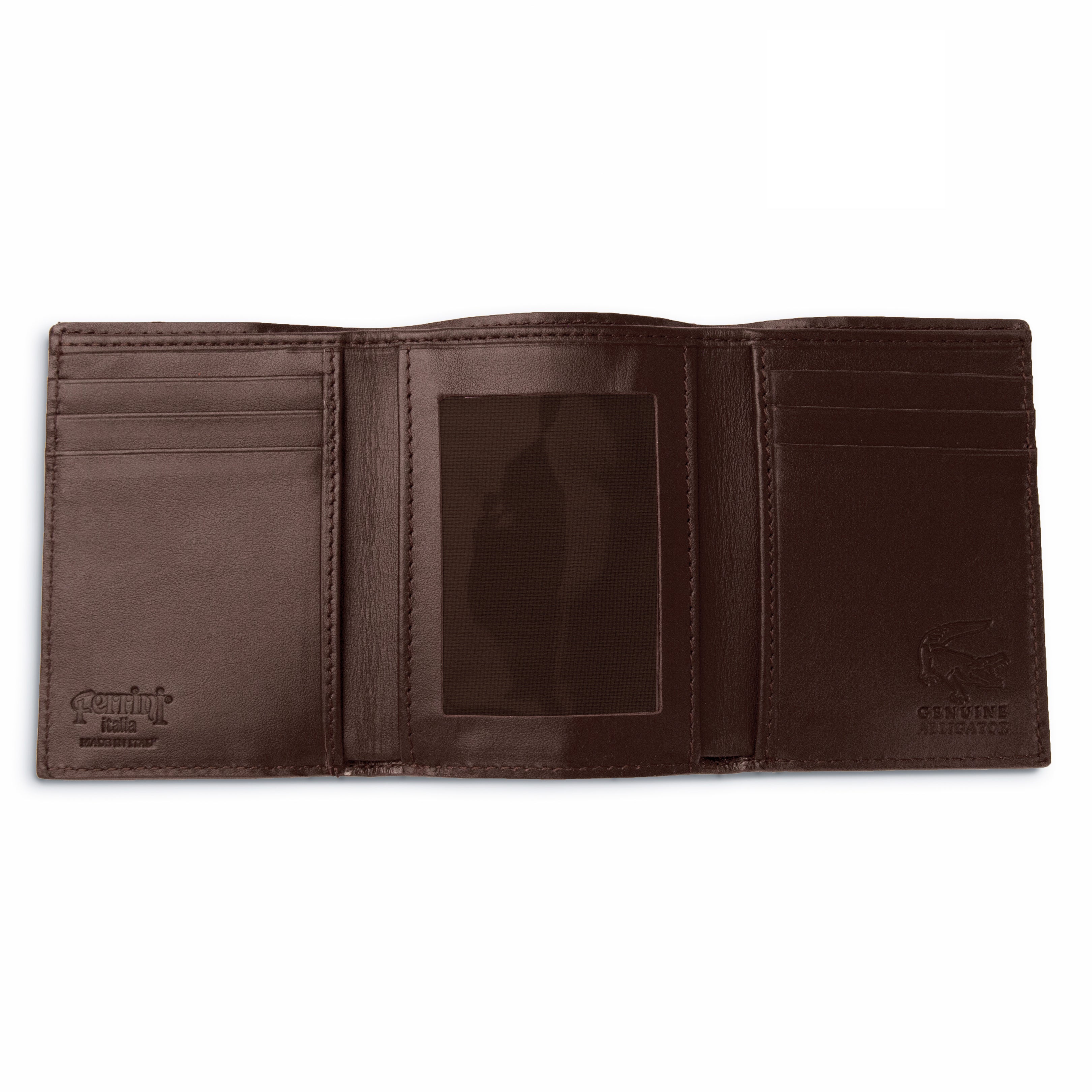 Alligator Trifold