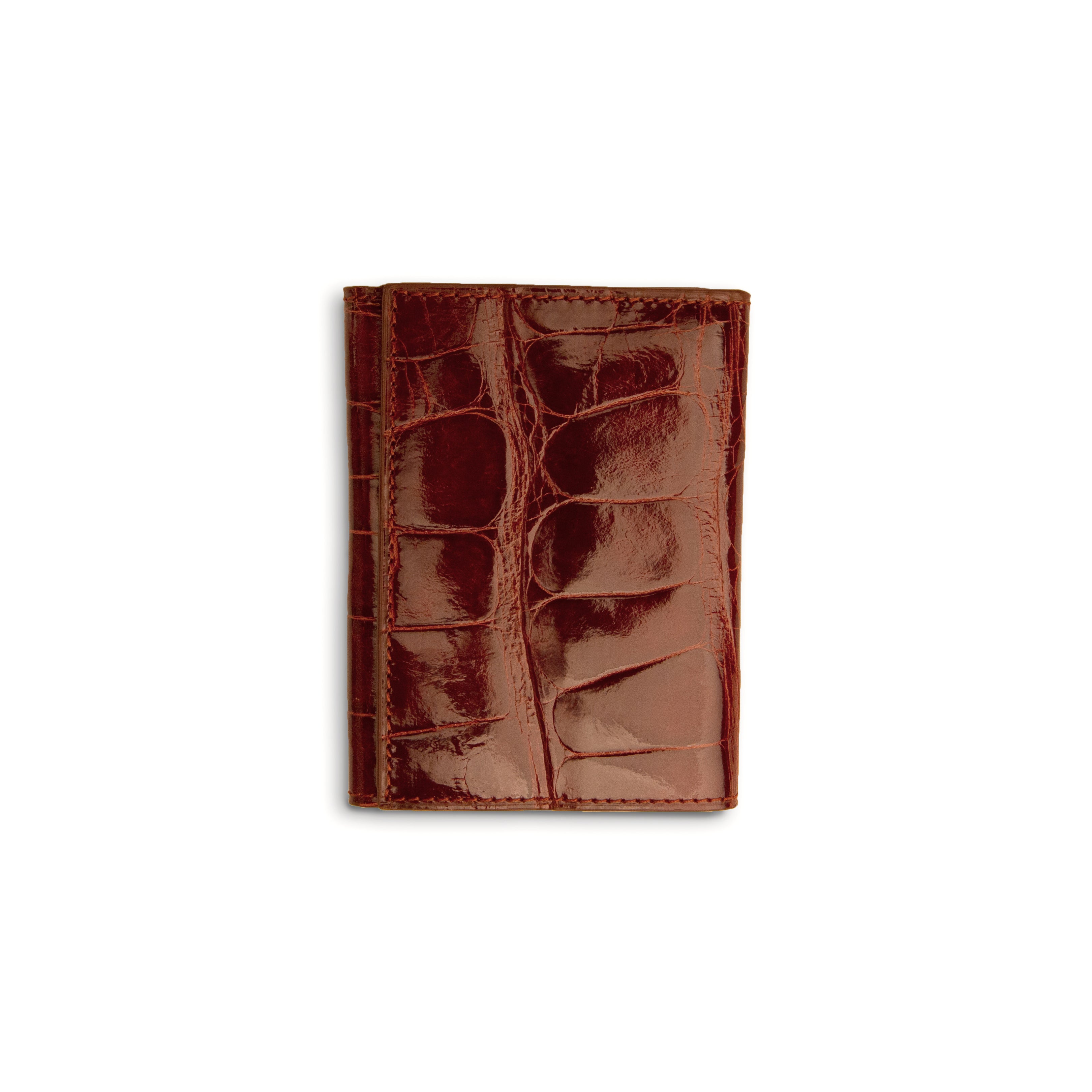 Alligator Trifold