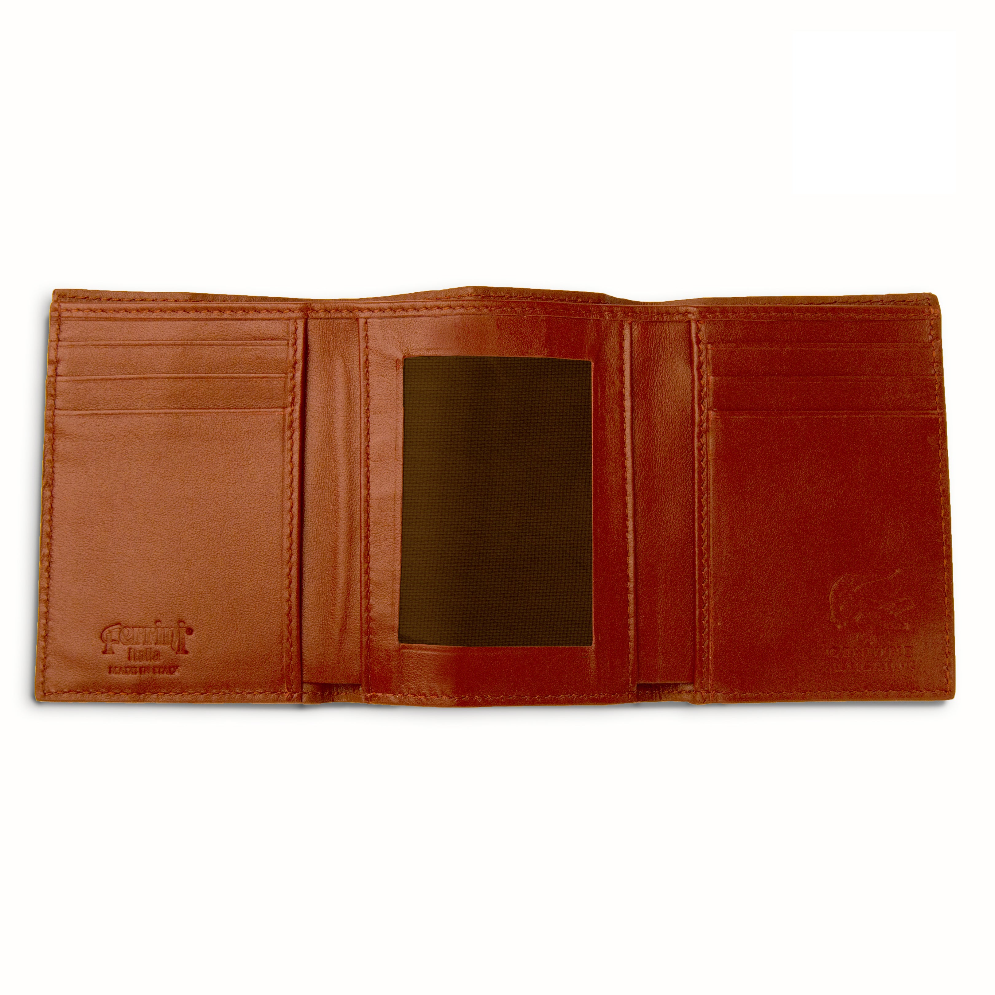 Alligator Trifold