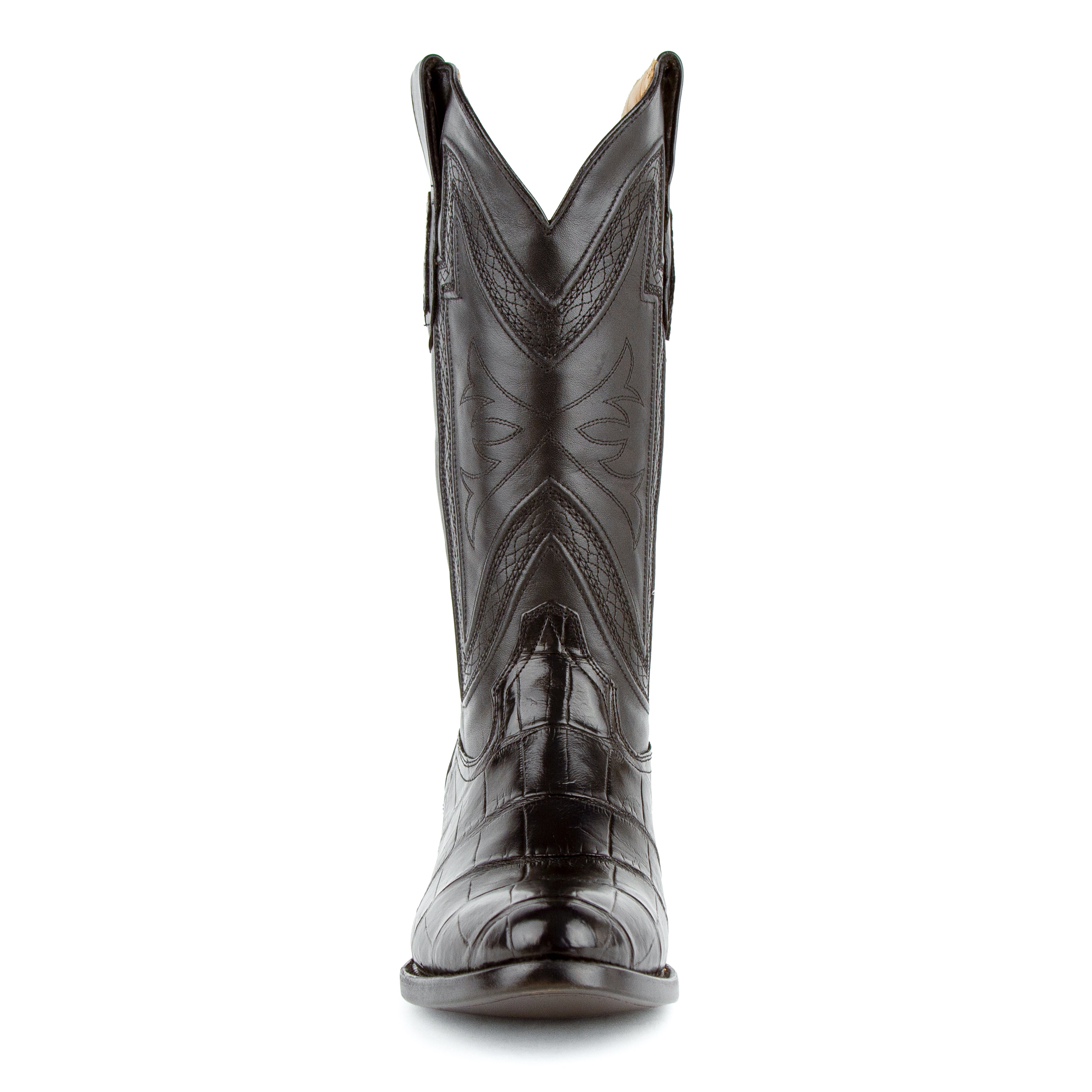 Stallion - American Alligator