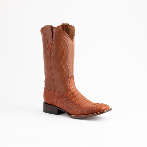 Hornback Caiman Dakota