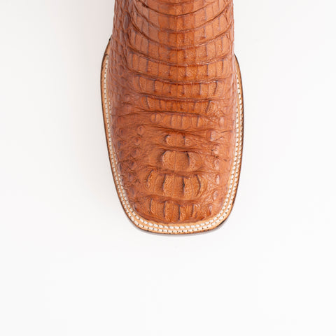 Hornback Caiman Dakota